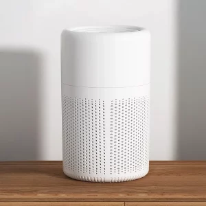 whole house air purifier, air purifier with aromatherapy, odour remover, negative ion air purifier, negative ion generator, home hepa filter